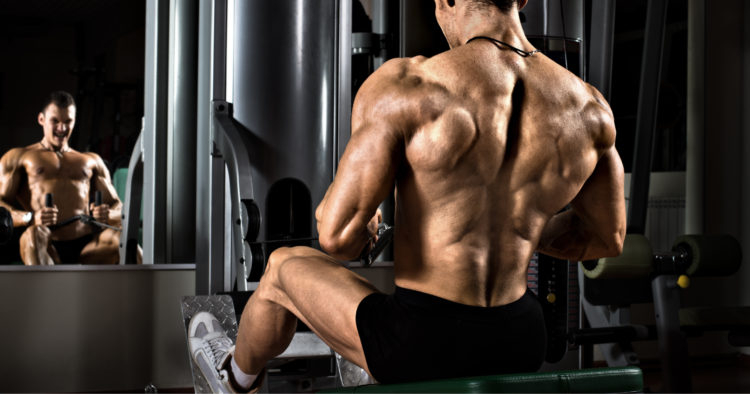 5 TRX Exercises to Build a Rock Solid Upper Back