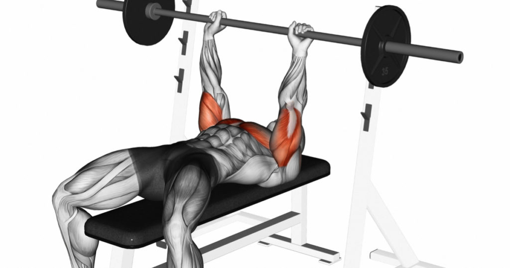 Close-Grip Bench Press Muscles Worked