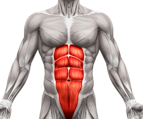 Core Muscles