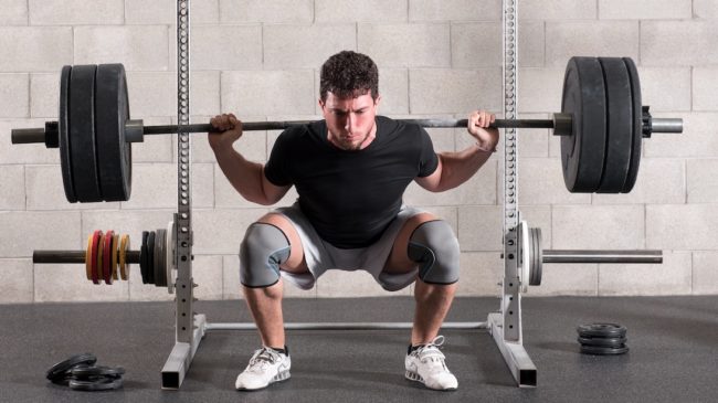 pause squat