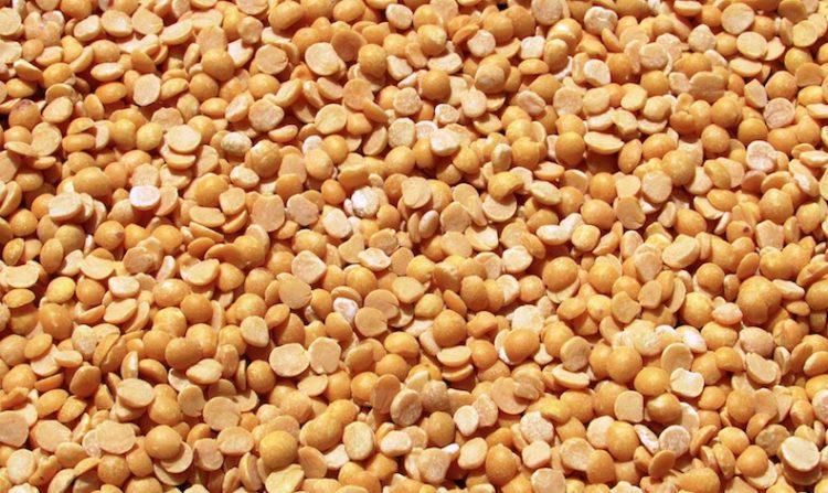 yellow peas small