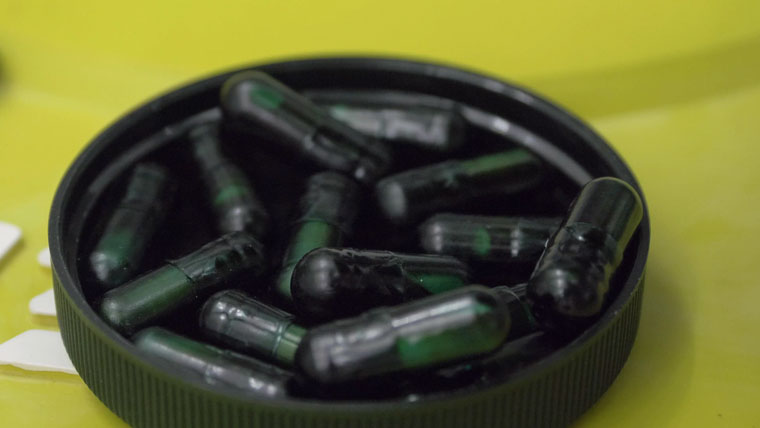 Seed Synbiotic pills