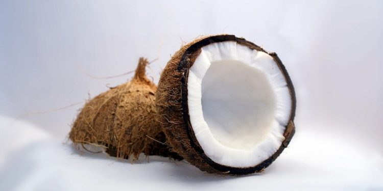 coconut half