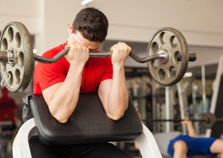 preacher curl