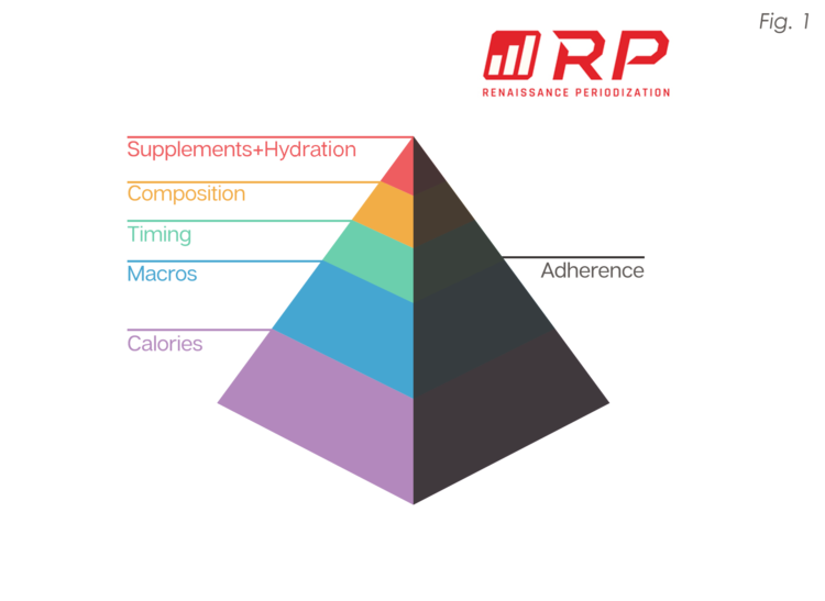 Renaissance Periodization Food List