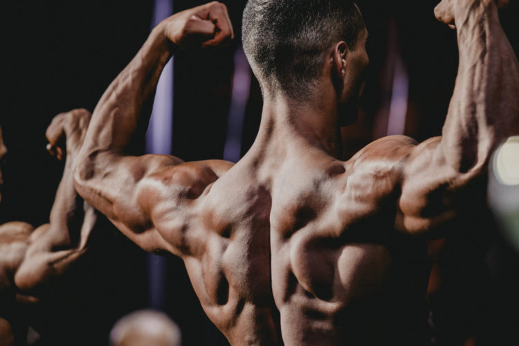 musculation