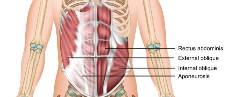 Abdominal Bracing  The small nuance that makes a big difference