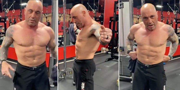 Joe Rogan Ripped