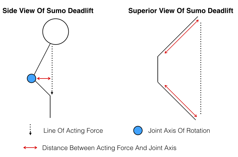 Superior View Of Sumo Moment Arm