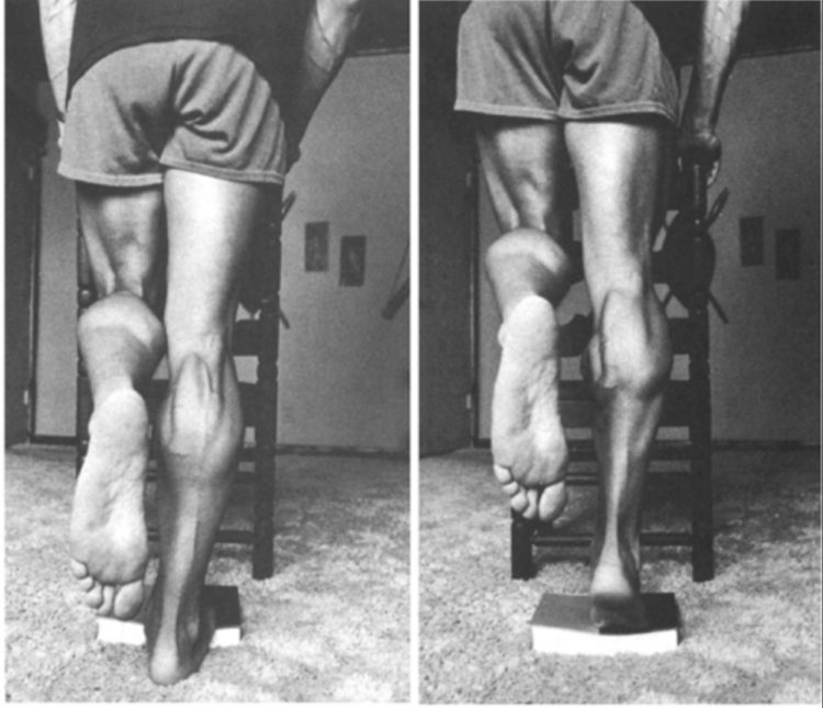 arnold schwarzenegger calf raise