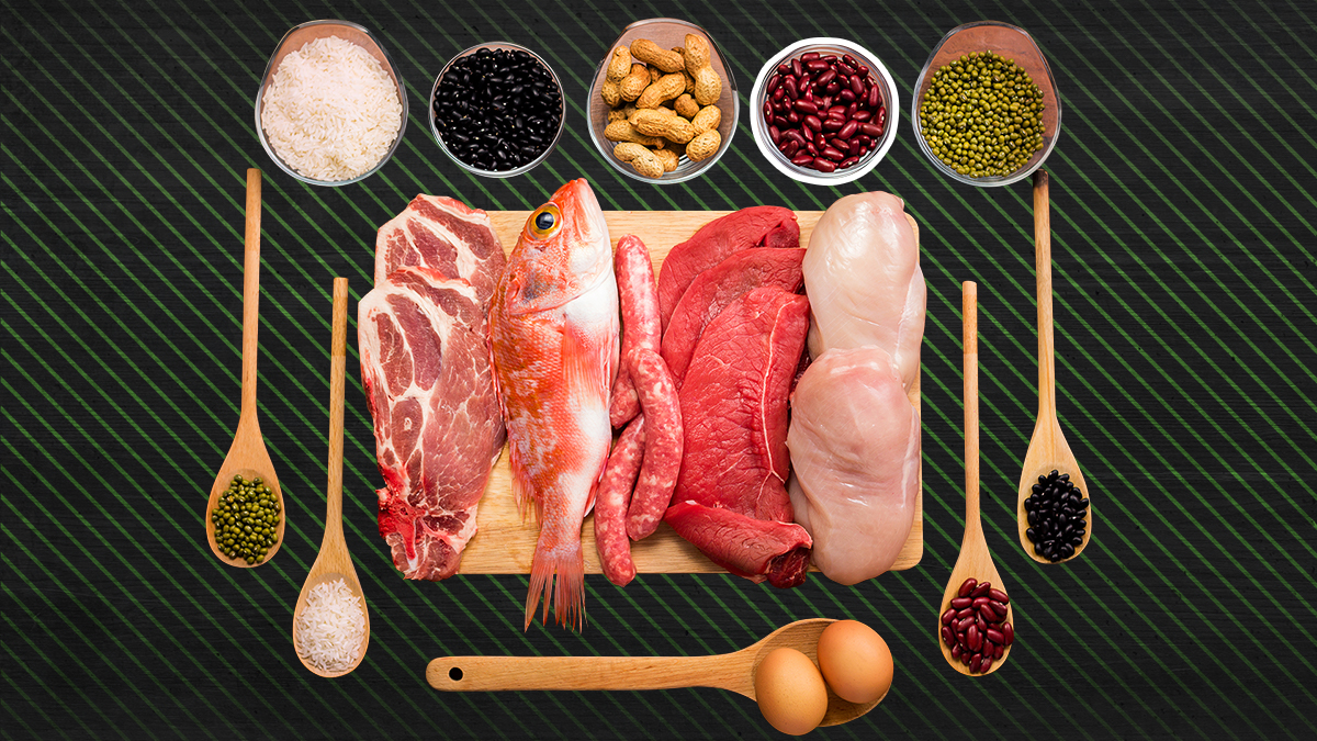 The Best Protein Intake Calculator For Muscle Gain And Fat Loss BarBend