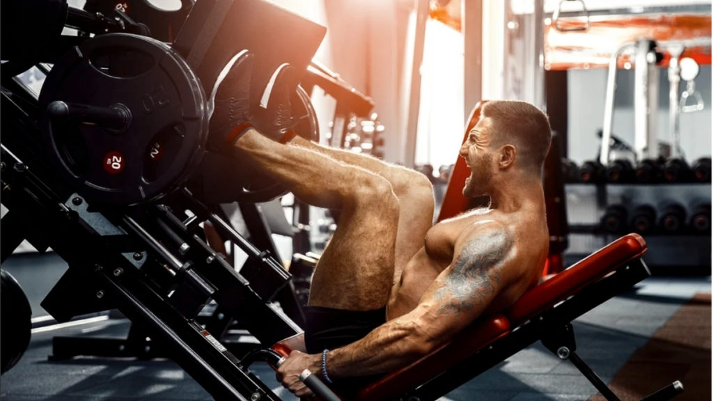 quad gym machine