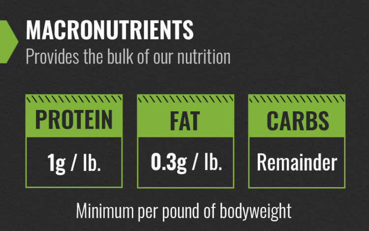 macro counting for muscle gain