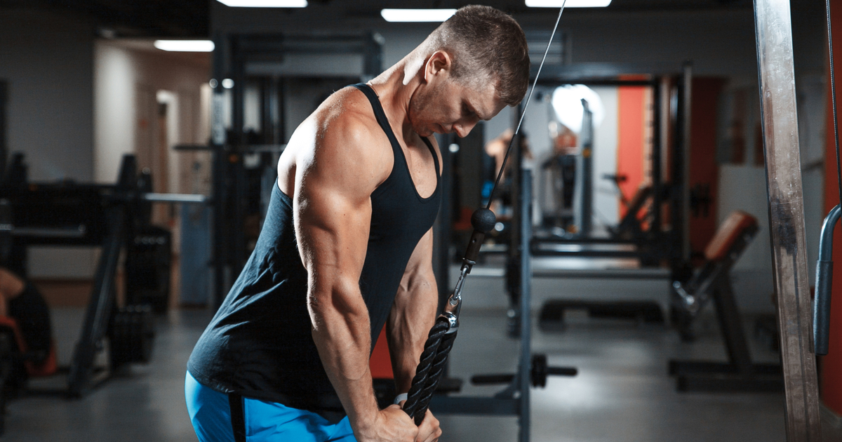 3 Triceps Training Rules (for Every Workout)