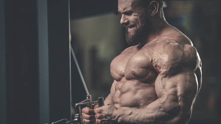 The Best Supplements For Bodybuilding 2020 Barbend