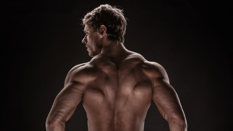 A bodybuilder's shirtless back. 