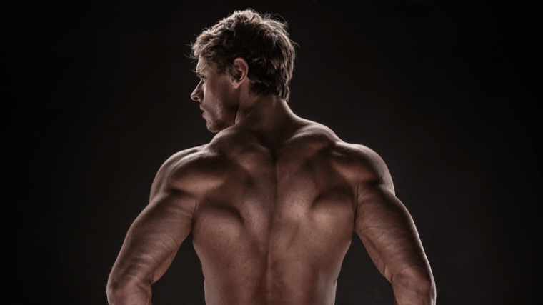 14 Best Trap Workouts - Exercises for Trapezius Back Muscles