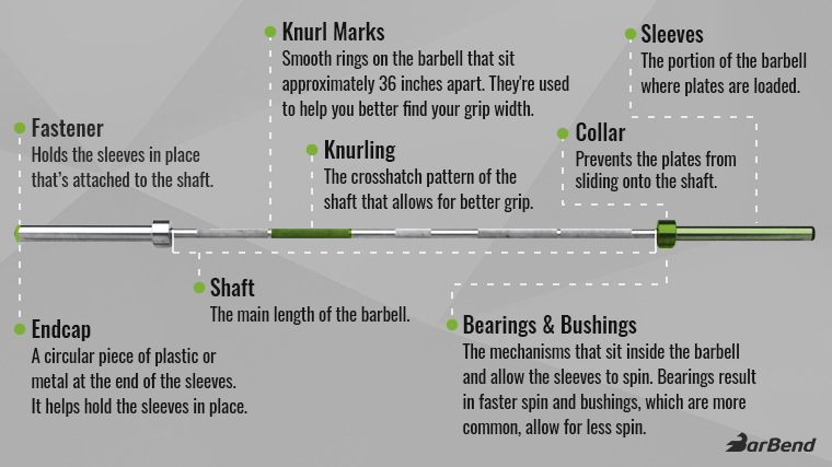 The Anatomy of a Barbell