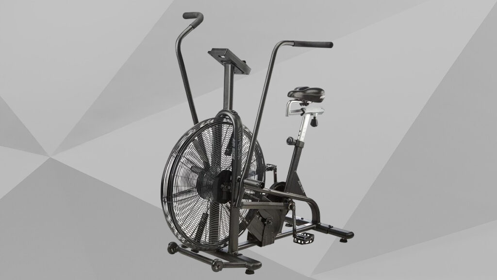 Assault AirBike Review