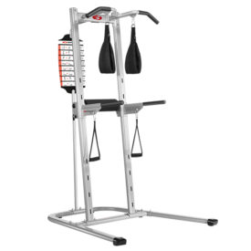 alter Bowflex BodyTower