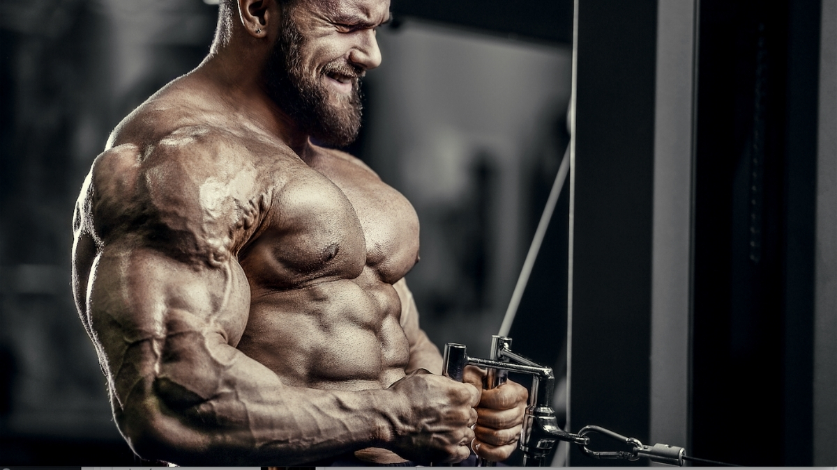 These Researchers Reveal the Right Way to Train for More Muscle Mass ...