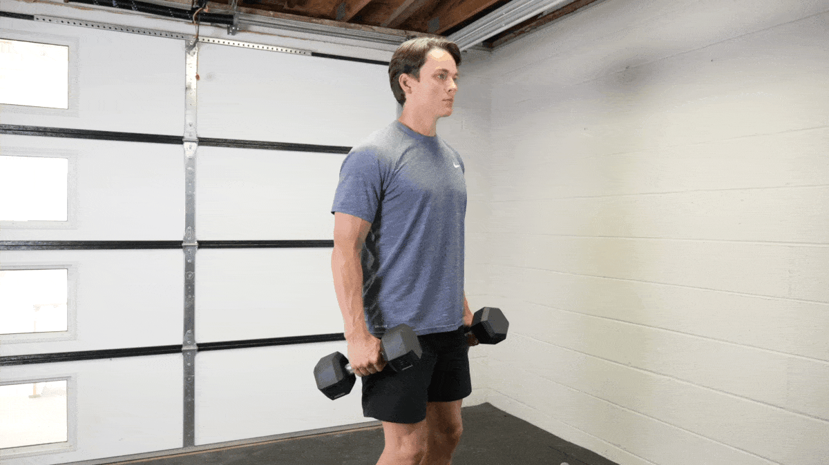 Modern Arm Day Training Guidelines for More Muscle and Strength
