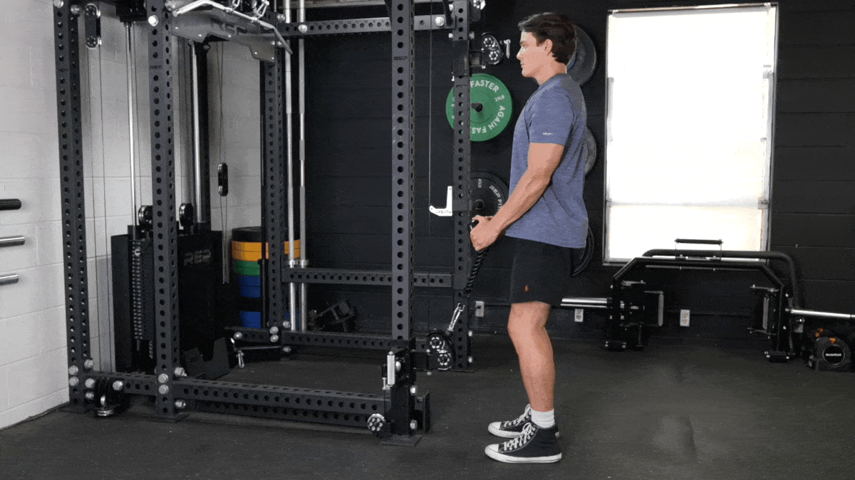Rope Hammer Curl GIF