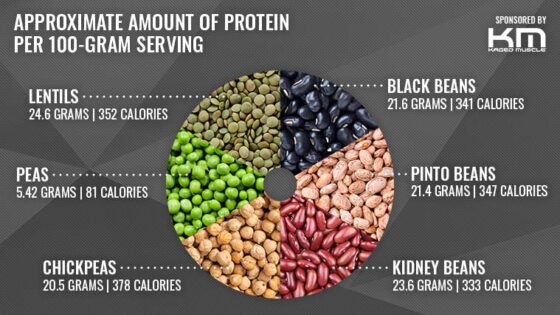 What Are Good Vegan Protein Sources? (Brought to You by Kaged Muscle ...