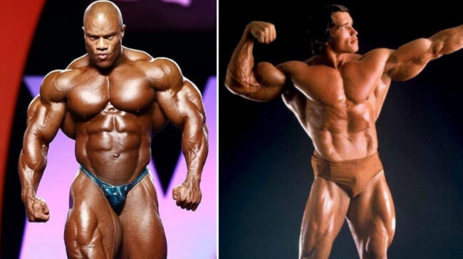 Best arms in bodybuilding