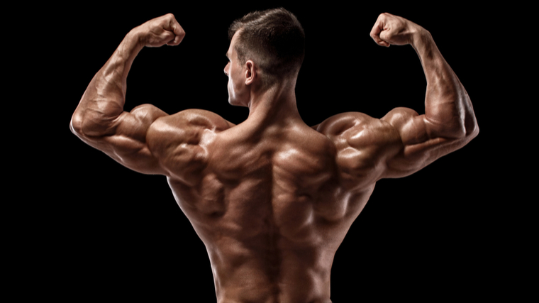 Bodybuilding workouts deals