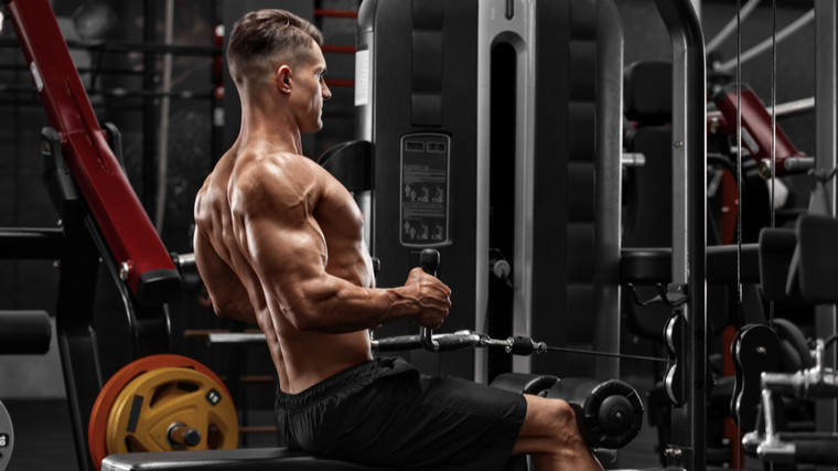 Cut or Bulk? The Skinny Fat Dilemma - Iron Paradise Fitness