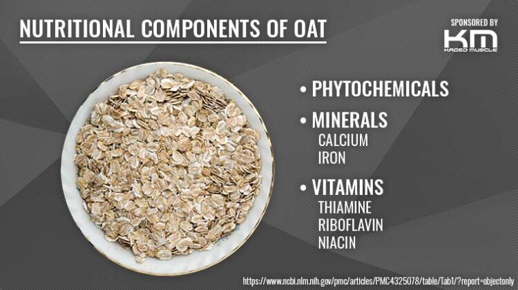 Why Protein and Oats Are a Perfect Muscle-Building Combo (Brought to ...