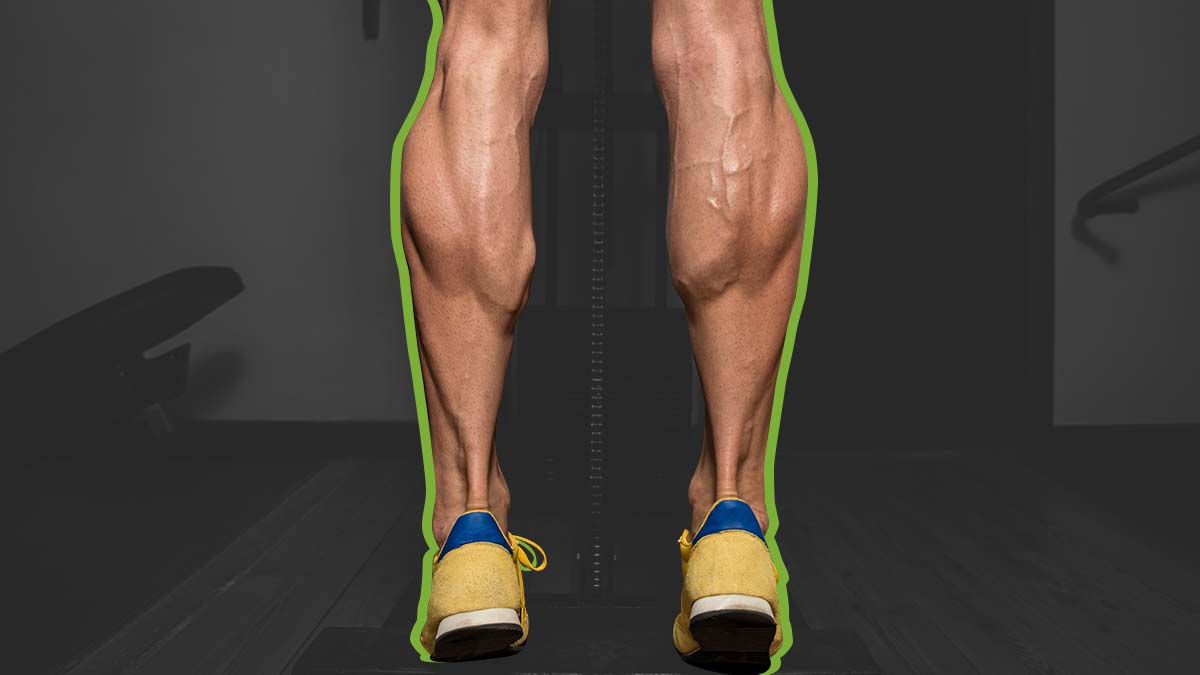 How to build best sale big calves at home