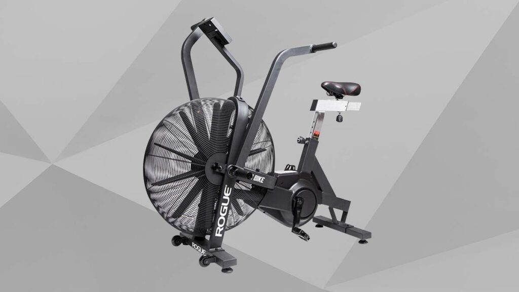 rogue echo air bike