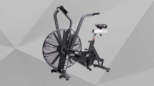 Rogue Echo Air Bike Featured Image