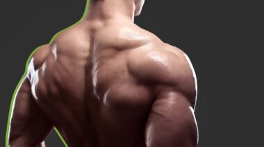 The Best Bodybuilding Back Workout, Customized to Your Experience Level