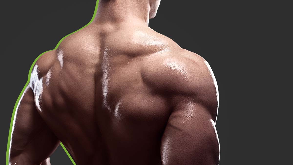 The Best Strength Training For The Back Adapted To Your Level Of Experience Authentic 