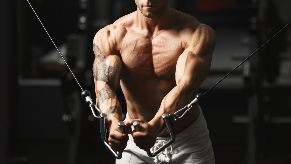 Gym Bro Science Tips That Actually Build Muscle