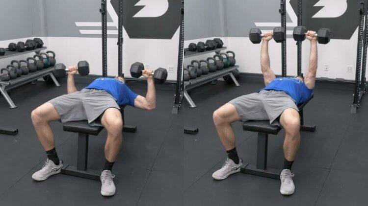 How to Do the Dumbbell Bench Press — Variations, Alternatives, Benefits ...