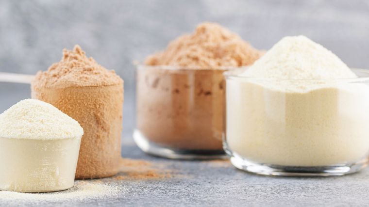 Scoops of protein powder sitting in front of a grey background