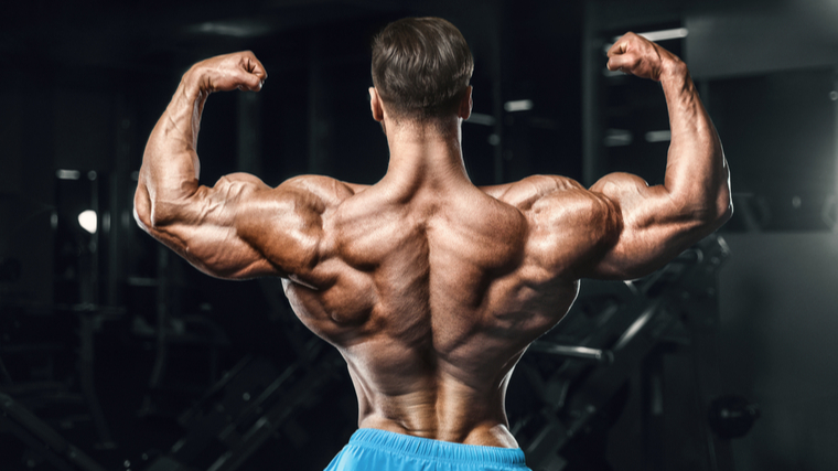 MAASTRICHT, THE NETHERLANDS - OCTOBER 25, 2015: Female bodybuilder Michèle  Steenhaut shows her best back double biceps pose Stock Photo - Alamy