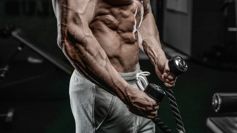 The Best Bodybuilding Forearm Workouts for Your Experience Level BarBend