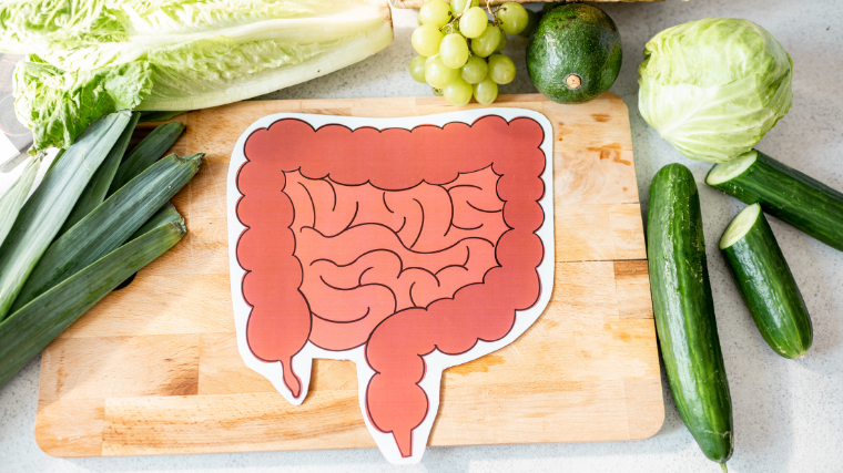 stomach anatomy drawing with vegetables