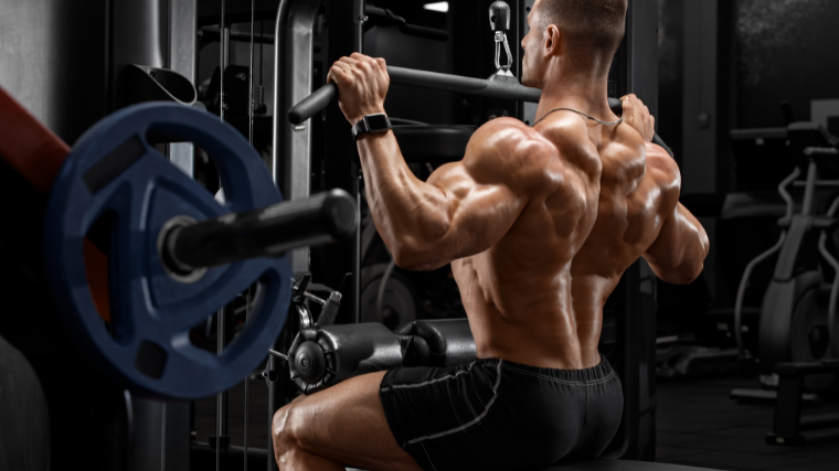 Best lat pulldown online bar