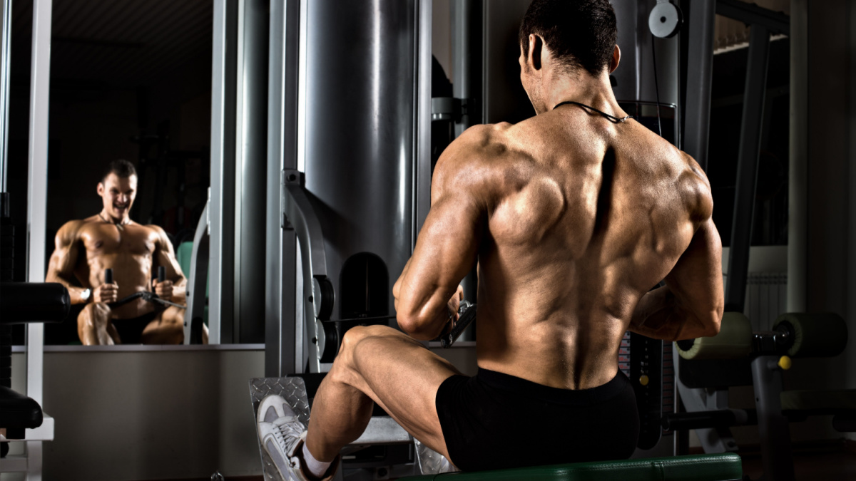 Ryan Terry's Back Workout To Unleash Your Lats, Traps, and Rhom- Muscle &  Fitness