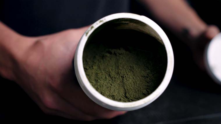 Swolverine Greens + Reds Powder