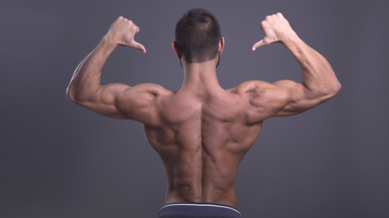 A person's back showing his muscles.