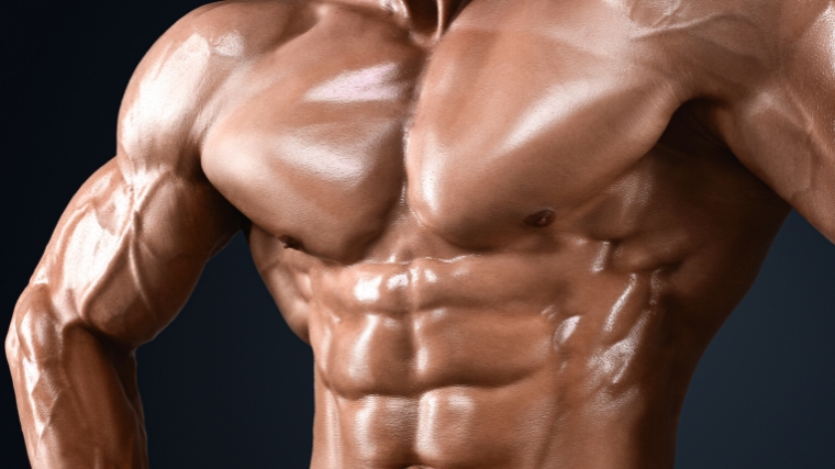 Close up of a muscular chest.