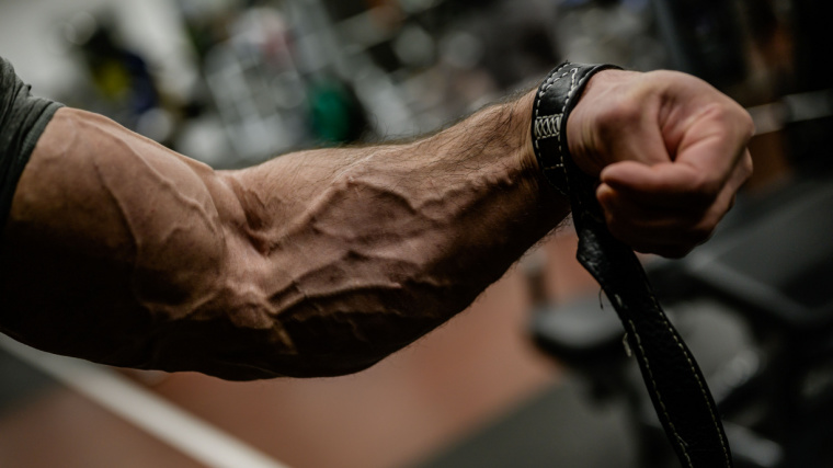 Person flexes forearm muscle with veins