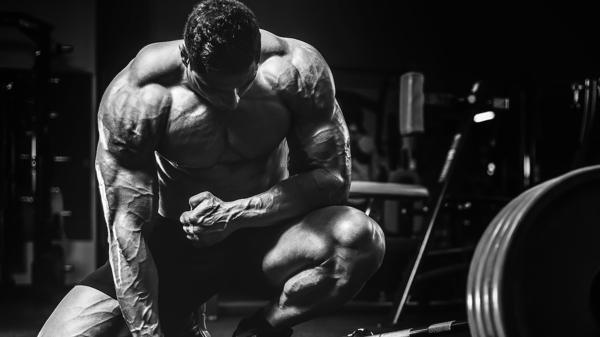 Are Bodybuilding Gyms Being Deserted By means of The Health Business?